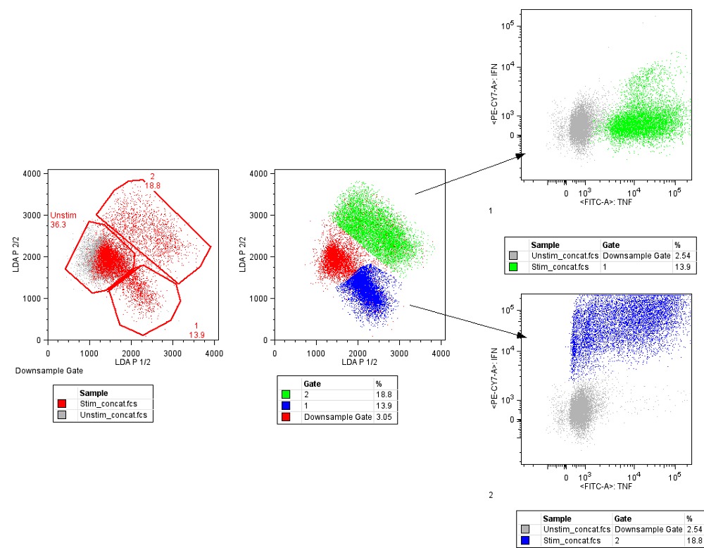 obzor samyh populyarnyh algoritmov